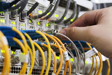 Orpic develops key downstream complex