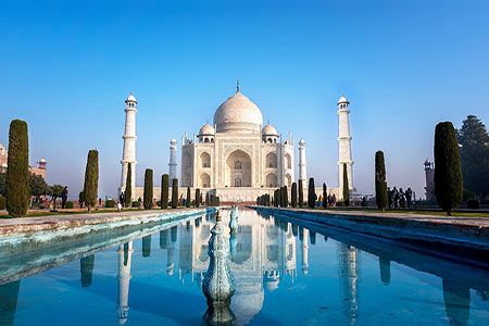 IEA: India’s bioenergy sector set for strong growth