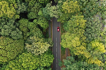 EIA: carbon fees to decrease emissions by 2050
