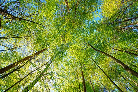 GlobalData: the rise of alternative fuels