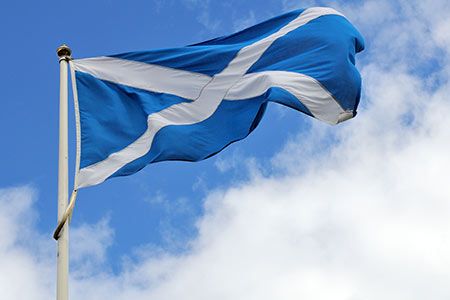 Celtic Renewables appoints Allen Associates amid plans for new biorefinery