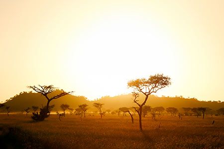 Eskom and Zululand Energy Terminal sign heads of agreement