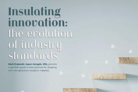 Insulating innovation: the evolution of industry standards